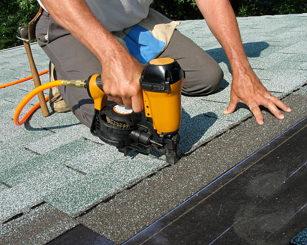 Best Roof Repair Services  in Ithaca, MI