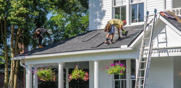 Best Roof Gutter Cleaning  in Ithaca, MI